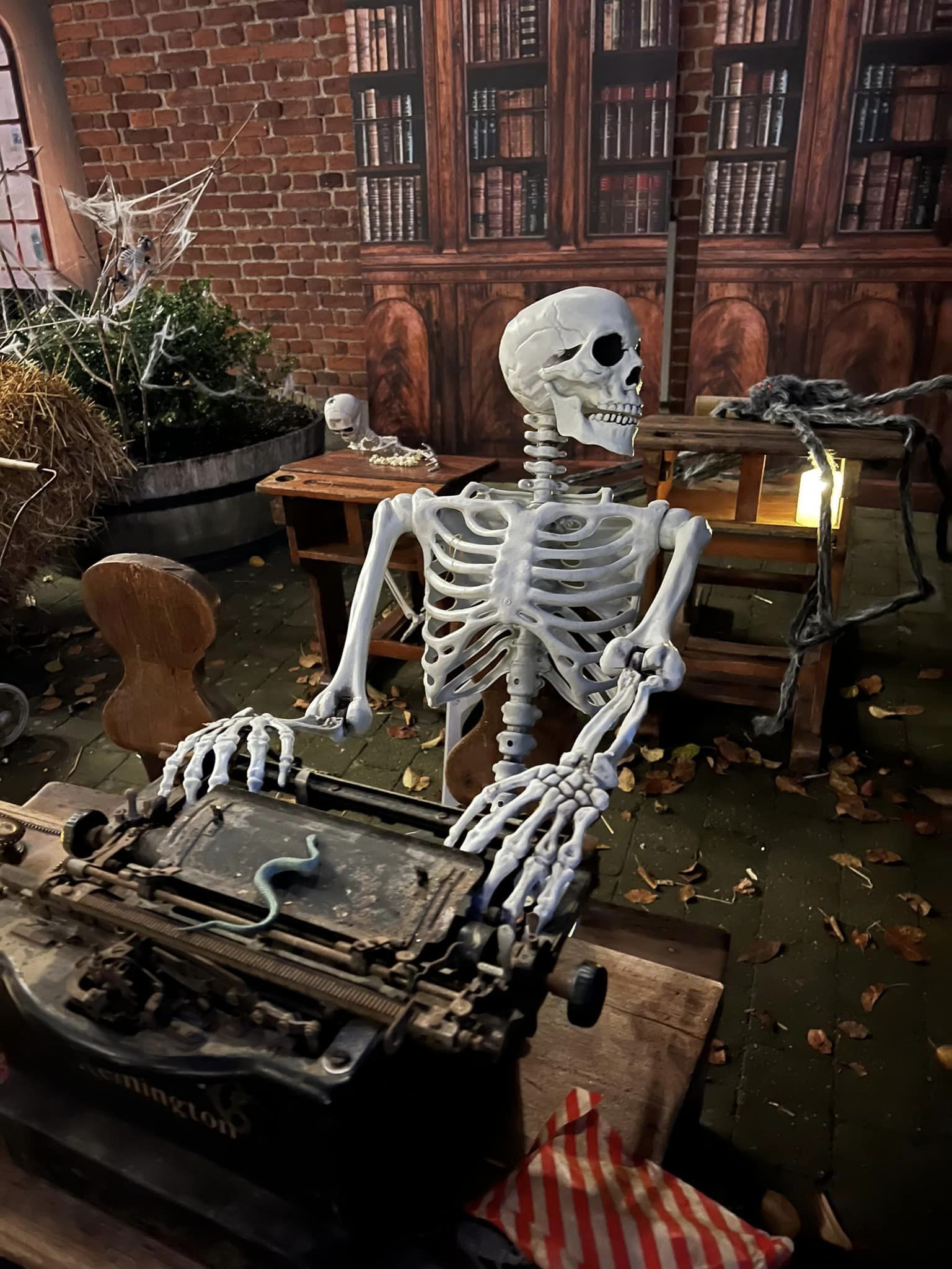 Trolddomsbiblioteket – Halloween på Frederikssund Bibliotek
