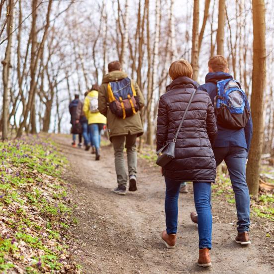 Litterære vandringer