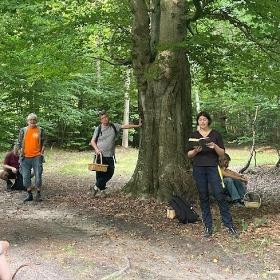 Litterær sommerfuglevandring