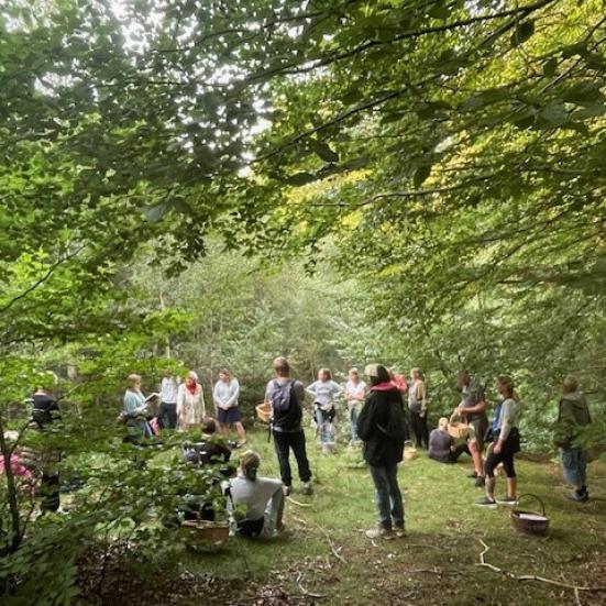 Grøn propagandakunst