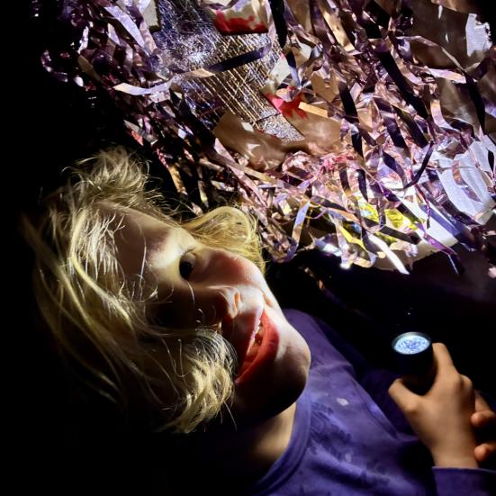 Dreng i lyset af en lommelygte