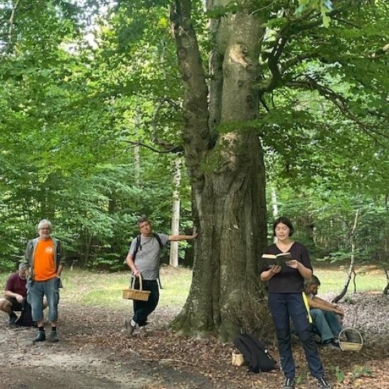 Mennesker mødes i skov og lytter til kvinde, der læser højt