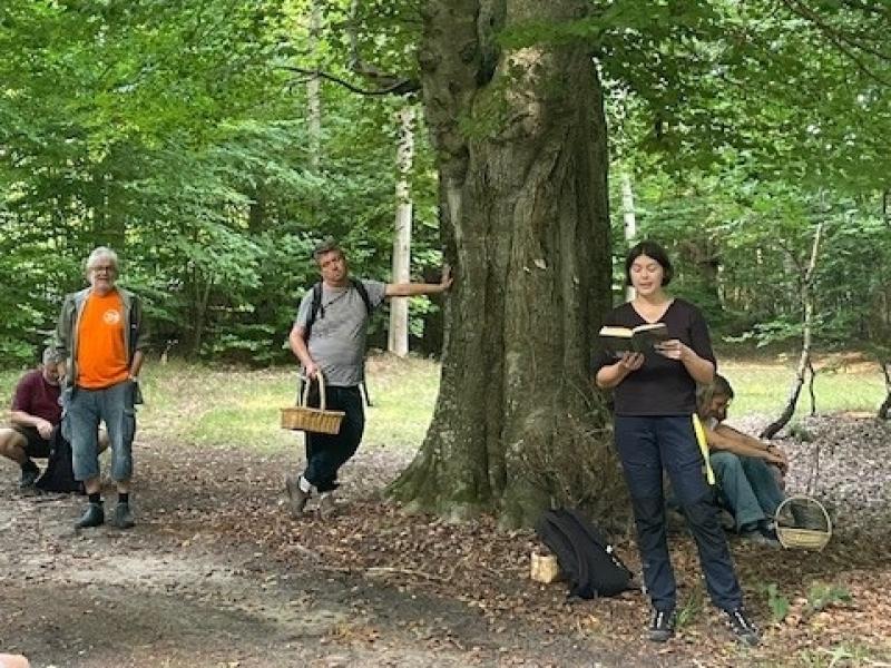 Litterær sommerfuglevandring