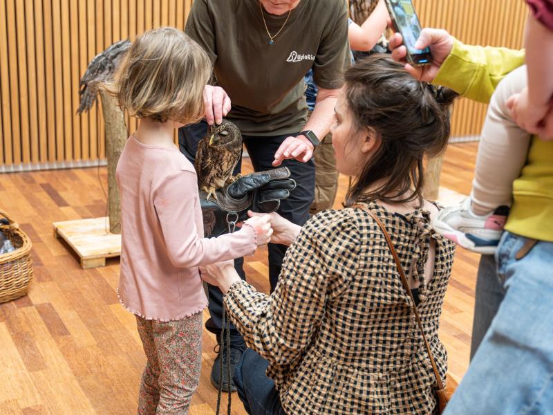 En pige prøvet at holde en ugle på armen