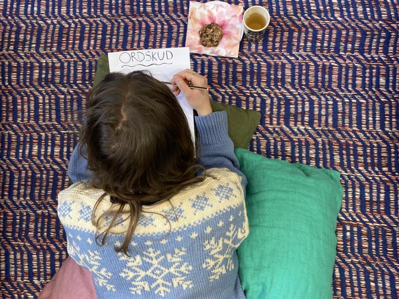 Pige set oppe fra. Hun ligger og skriver i en bog