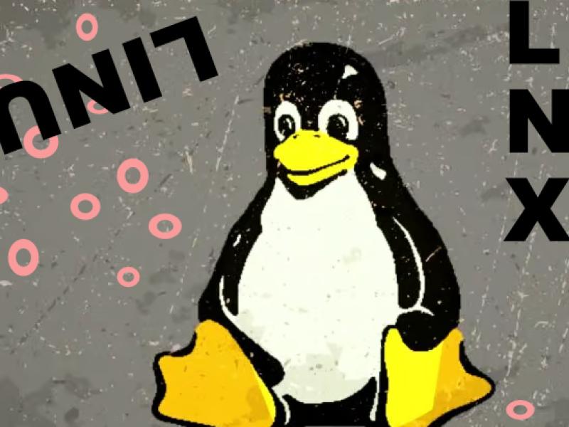 Billede af pingvin. Linux logo.