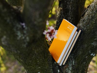 Bøger i et træ. Foto kreditering: Karolina Grabowska