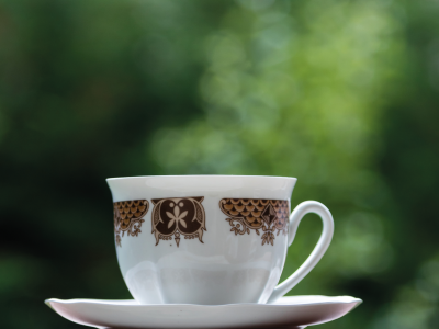 Guidet fælleslæsning