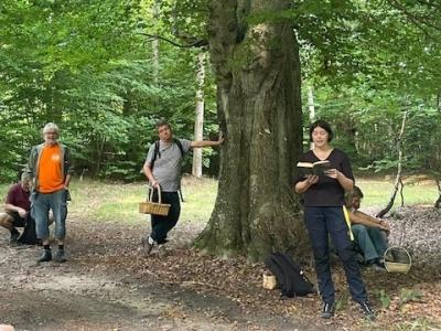 Litterær sommerfuglevandring