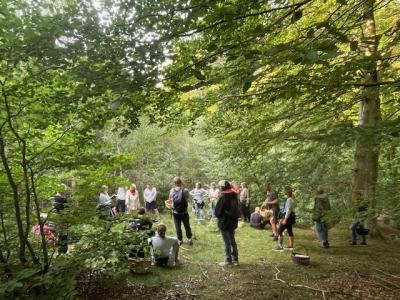 Grøn propagandakunst